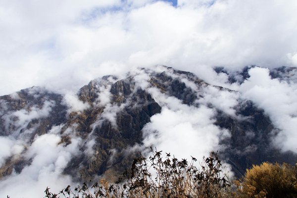 Uncover the Best UK Campsites and Savor Local Food Festivals for Your Perfect Gourmet Escape!